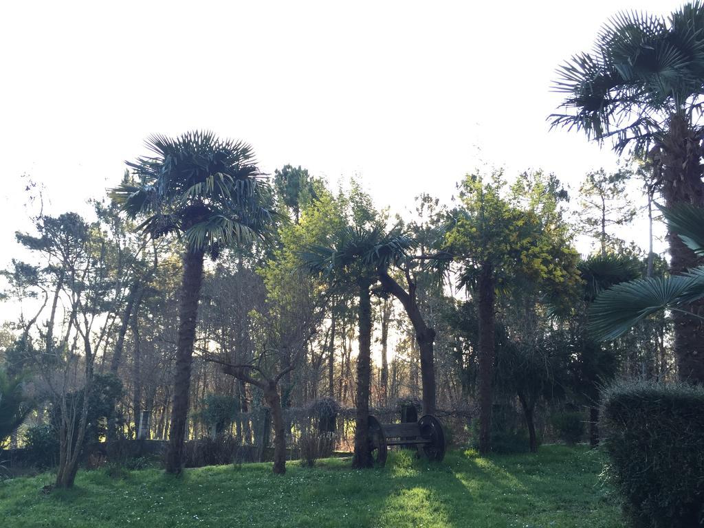 Bed and Breakfast Agro Da Gandarela Teo Esterno foto